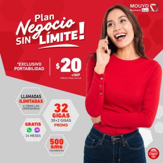 Plan Negocio Sin Límite 20