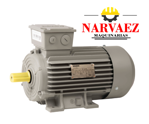 MOTORES SIEMEN