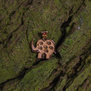 Dije Elefante de la Abundancia