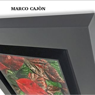 Marco Cajón con Bastidor