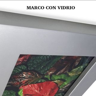 Marco con Vidrio
