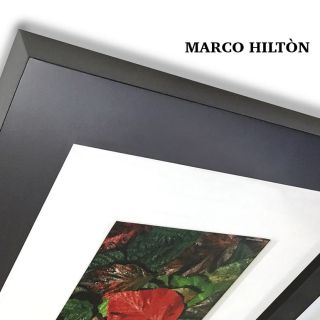 Marco Hilton