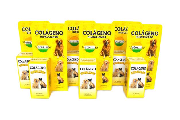 COLAGENO HIDROLIZADO