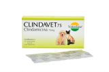 CLINDAVET