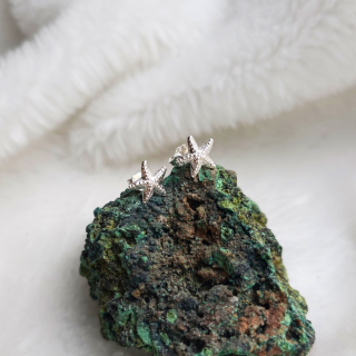 Aretes Estrella de Mar