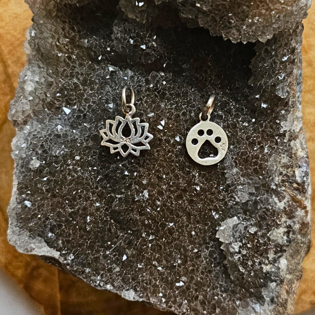 Dijes varios en plata