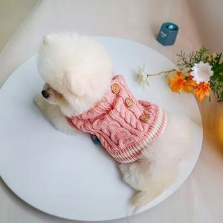 SUETER COQUETTE - 2