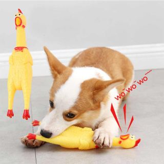 POLLO CHILLON - 3
