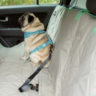 CINTURÓN DE SEGURIDAD PARA MASCOTA - 2