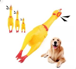 POLLO CHILLON - 2