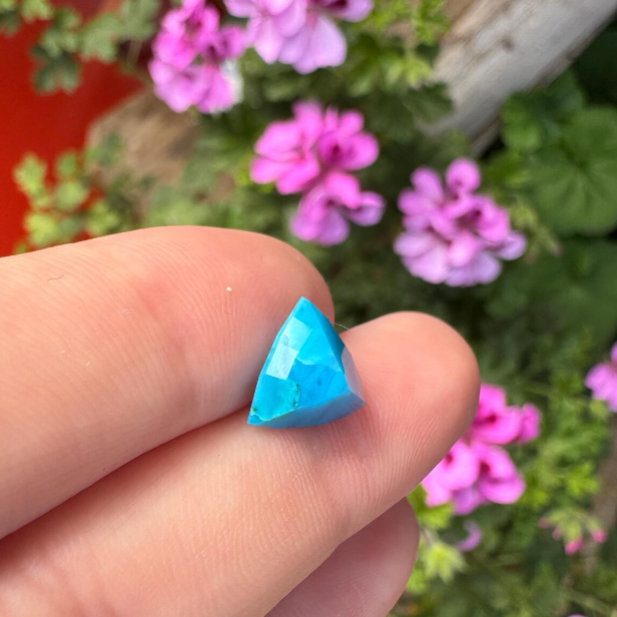 OPALINA